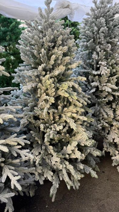 Ёлка/Новогодний ёлка/ёлка для дома