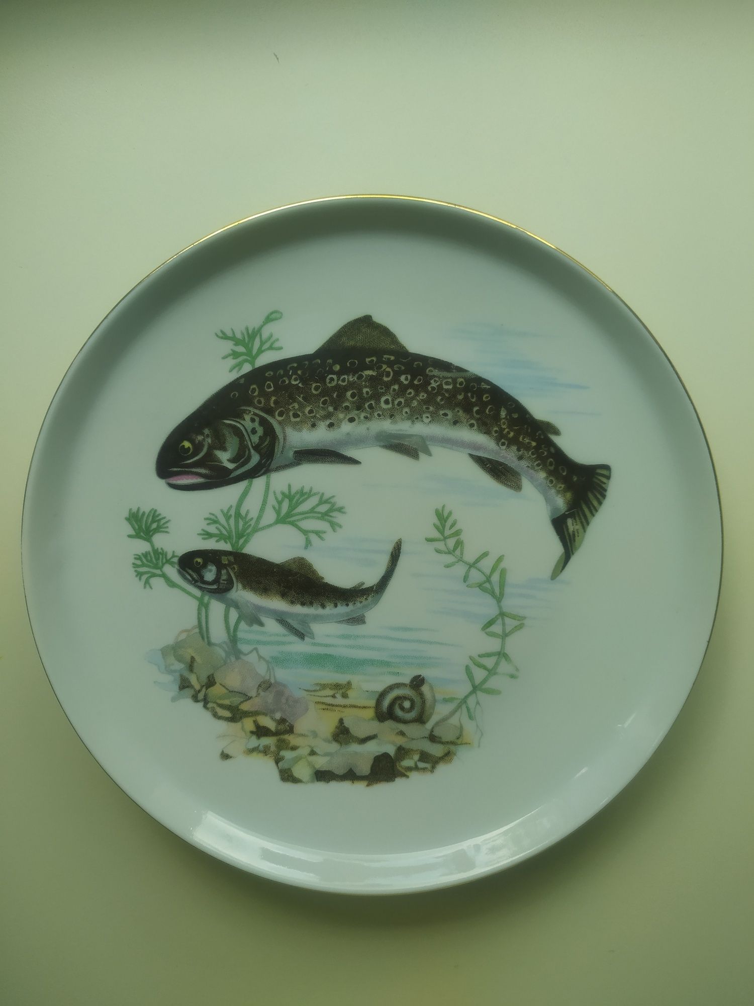 Порцеланови чинии с различни риби