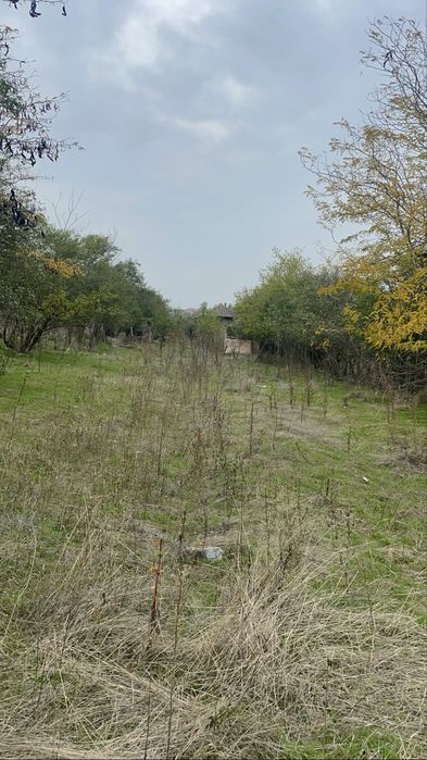 Casa veche + teren 3600m2 langa balta eligibila pentru Fonduri Europen