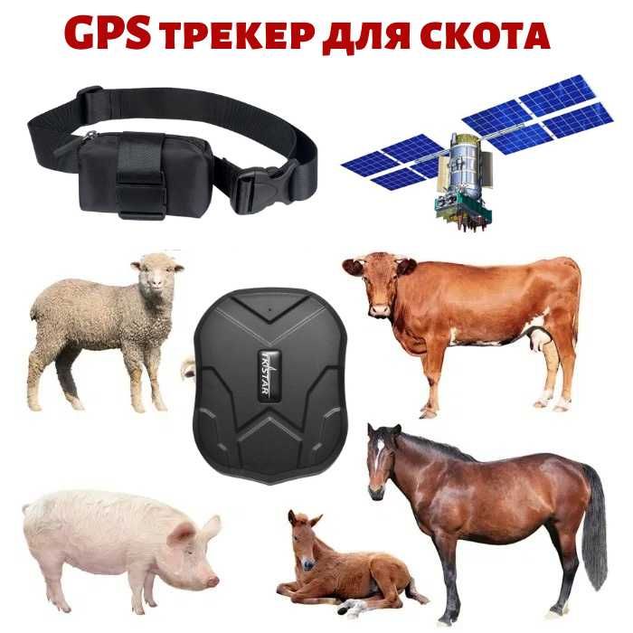 GPS для Лошадей/Жылкыга ЖПС/Малга Арналган/Гарантия/Доставка/Настройка