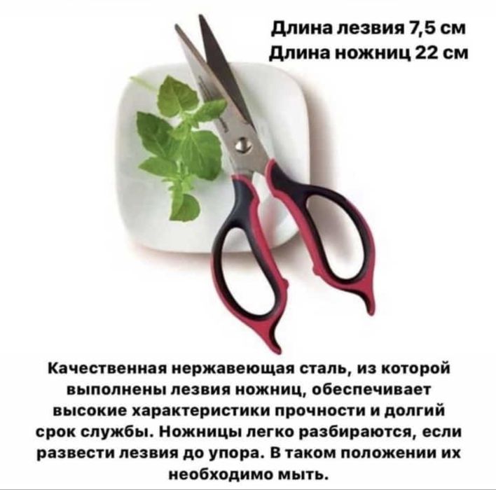 Ножи и ножница от Tupperware