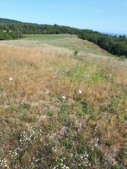 Vand teren comuna Halmășd, cătunul Fufez