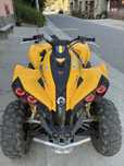 Can-am Renegade 800r