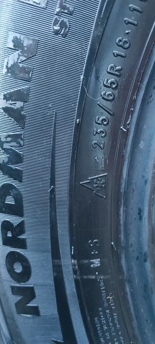 Автошины Нокиан R 18