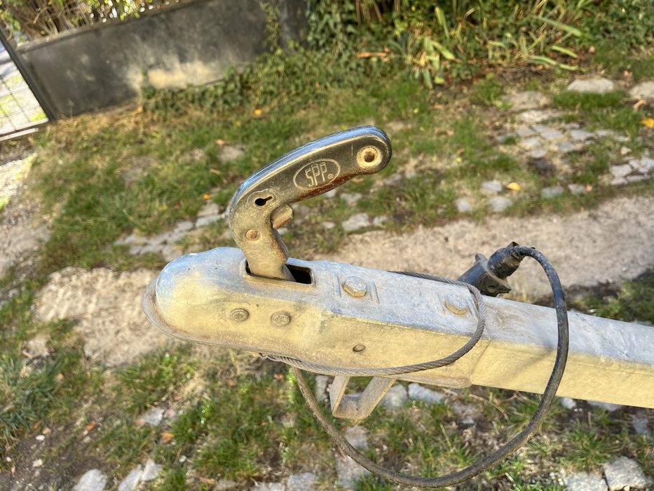 Ремарке за превозване на кучета