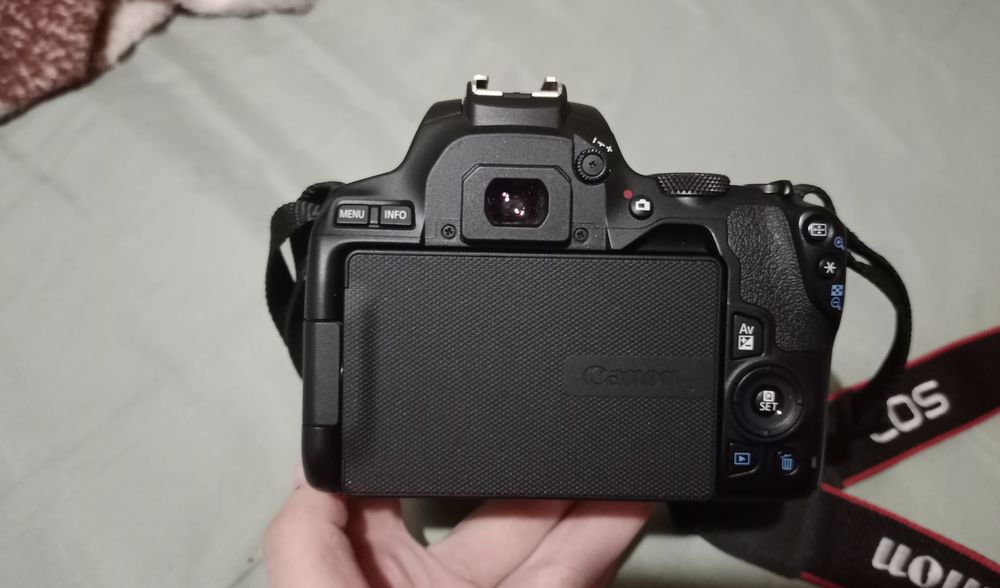 Фотокамера Canon EOS 250D EF-S 18-55 IS STM Kit