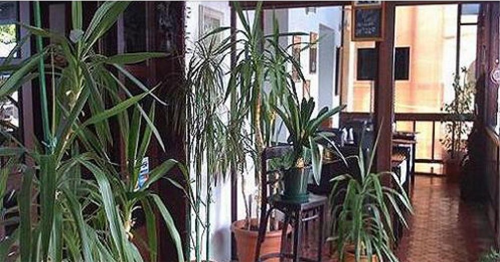 Vila pentru petrecerea Revelionului in Eforie Nord