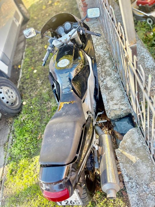 Yamaxa Genesis нов внос от германия