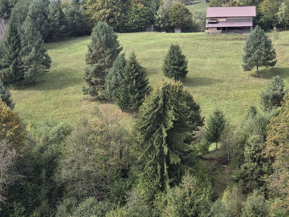 Teren in Valea Cheii, Dimbovicioara