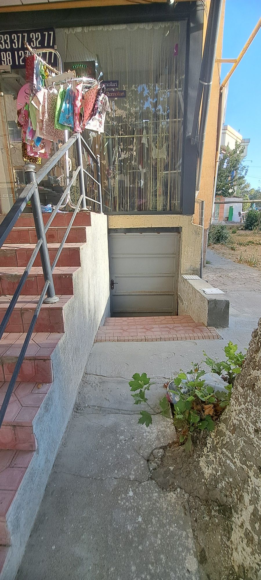 Qora qamish da sotiladi