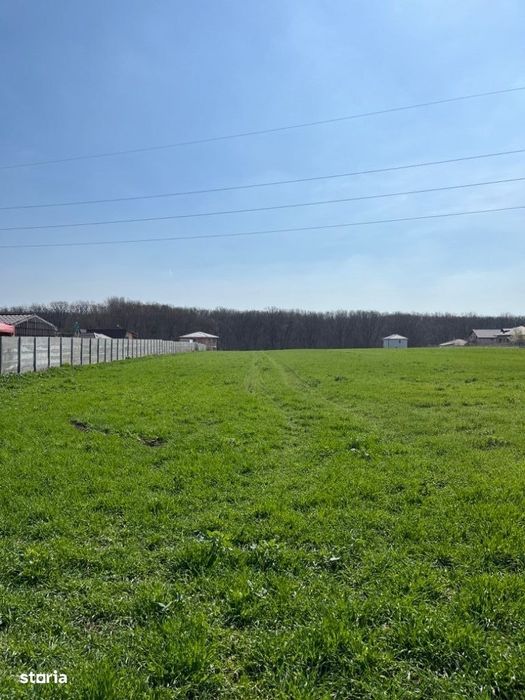 Teren vanzare Branesti, langa padure. Dubla deschidere.