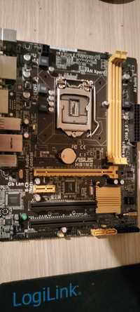 Placa de baza ASUS H81M2, LGA1150, Intel H81, 2x DDR3, 2x SATA III