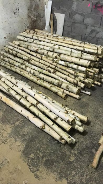 Lemn de mesteacan mesteacan decorativ trunchi mesteacan crengi rondele