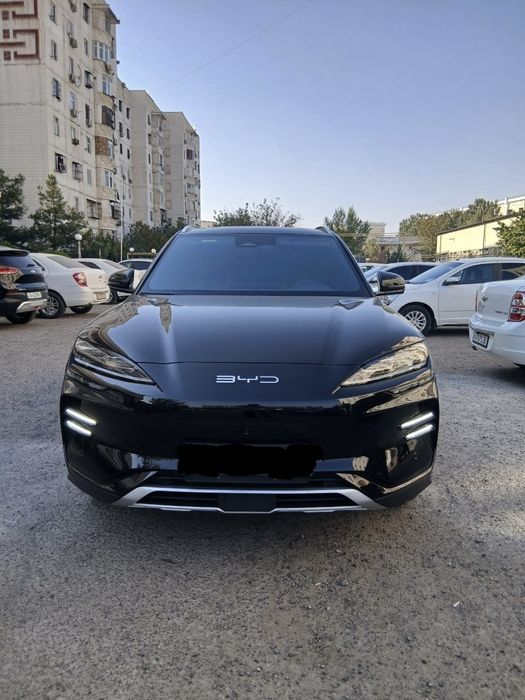 Byd song plus champion 2024