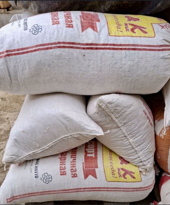 Apilka qipiq bor randadan chiqan