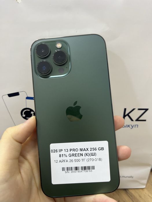 Iphone 13 pro max Pintel