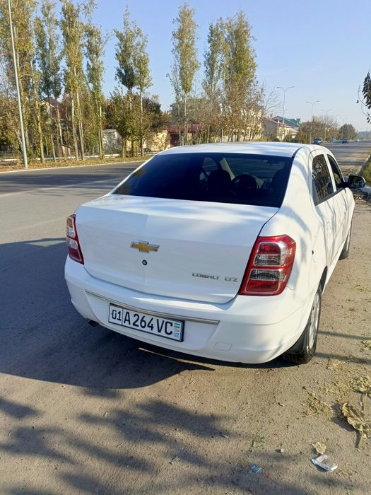 Kobalt sotiladi prabeg halol kraska toza