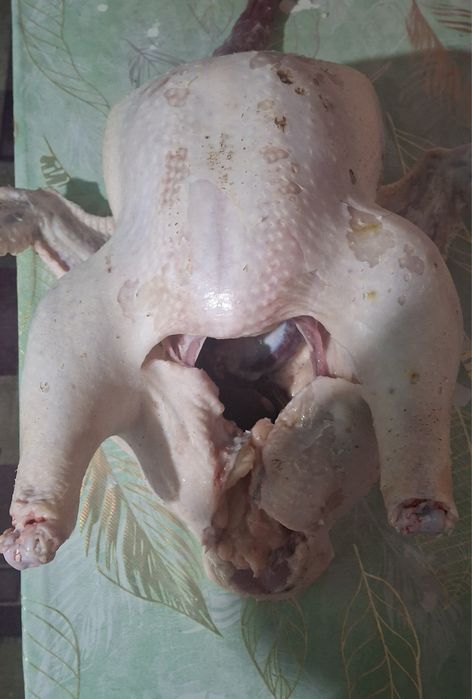 Продаются свежие тушки индюков