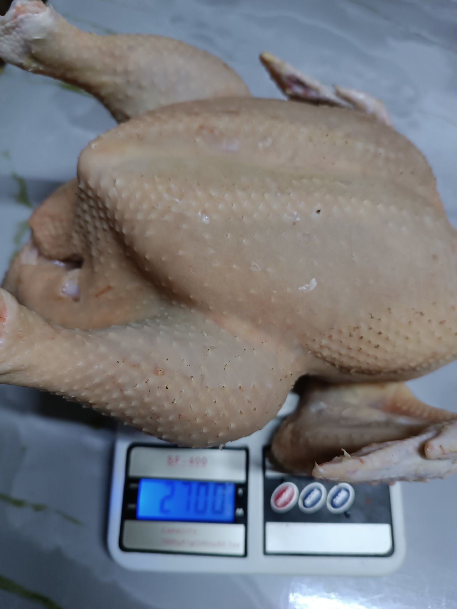 Продам домашнего бройлера