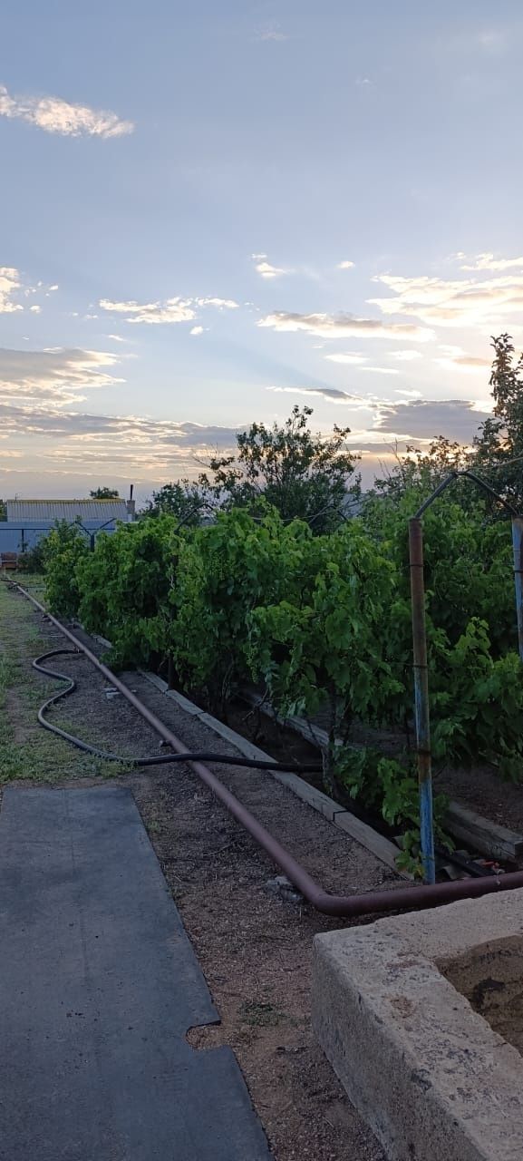 Продается дача на 2 водоколонке
