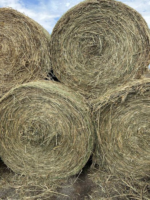 Бали сено и смеска