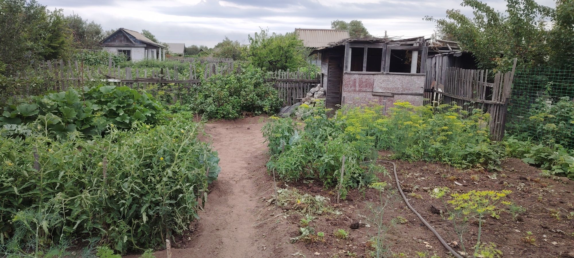 Продам дачу садовоства яблоневая