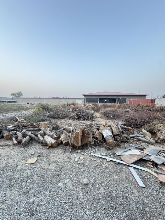 ötin. дрова. даром