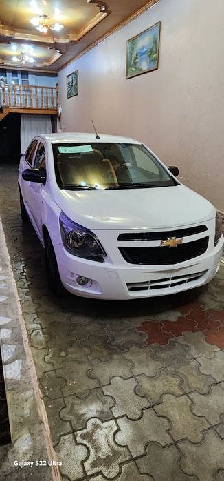 Cobalt Midnight (MCM) 2026