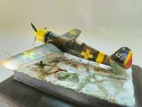Modelism Diorama IAR 80 scara 1:100 rasina