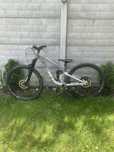Marin Rift Zone 2024