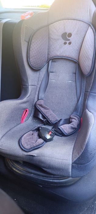 Стол за кола Lorelli Jupiter (0-25кг)