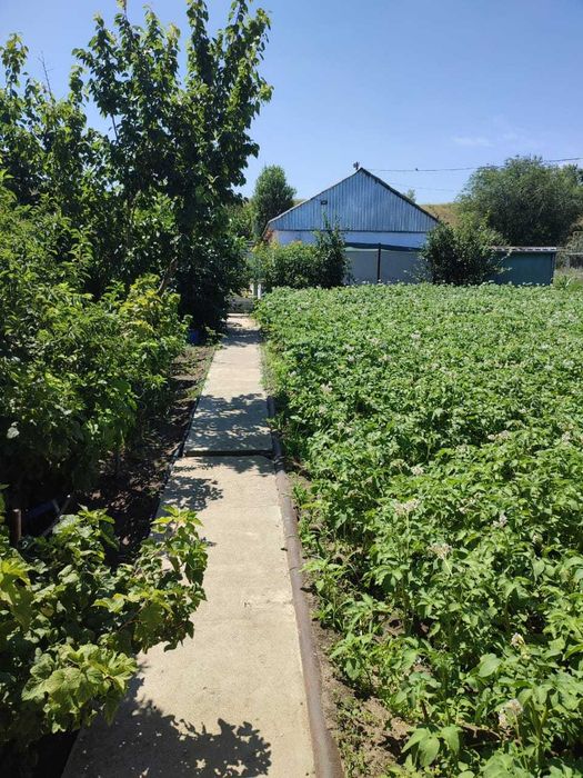 Продам дачу .Район ГМЗ  Имеются хоз постройки для содержание животных.