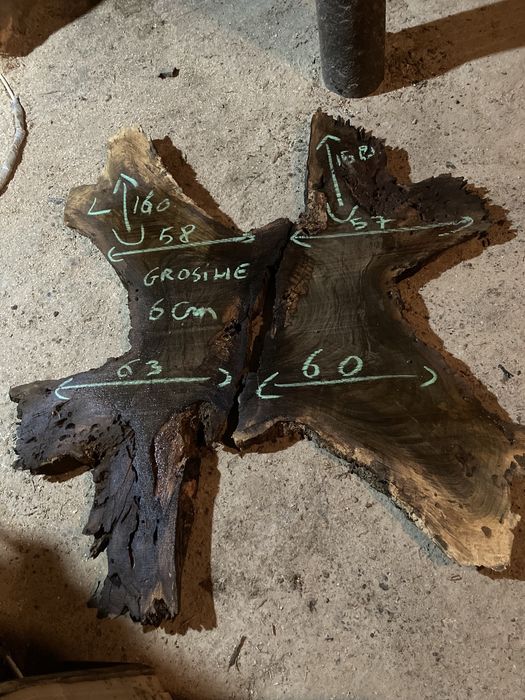 Rădăcini NUC diametre MARI