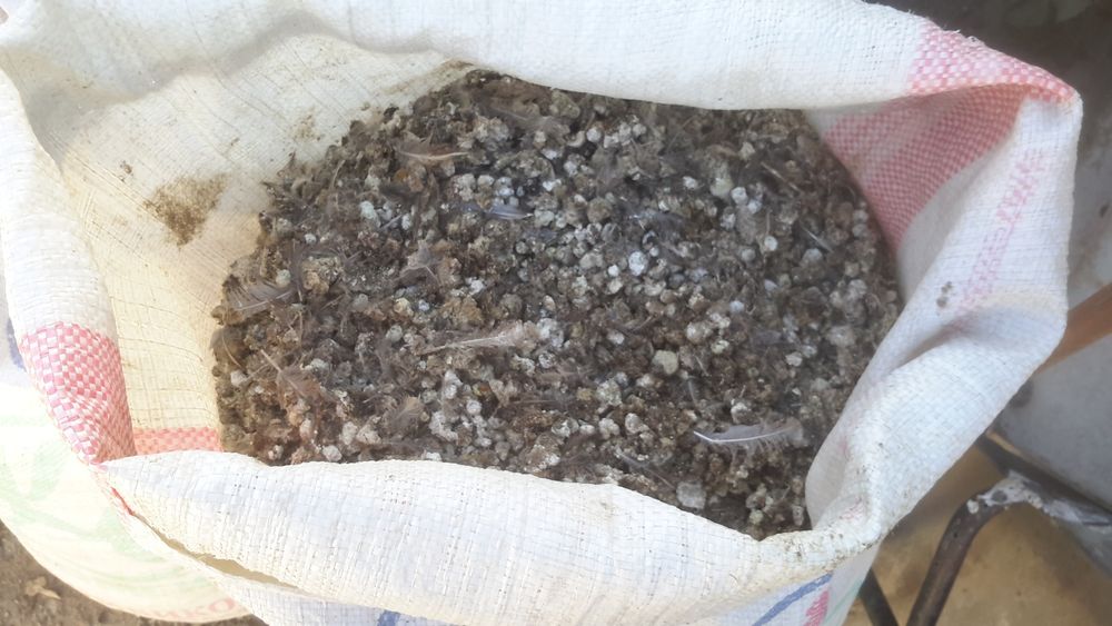 Навоз свежий перепелиный Бесплатно