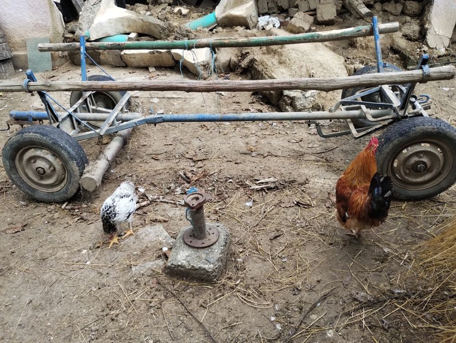Vând căruță de un cal ușurică