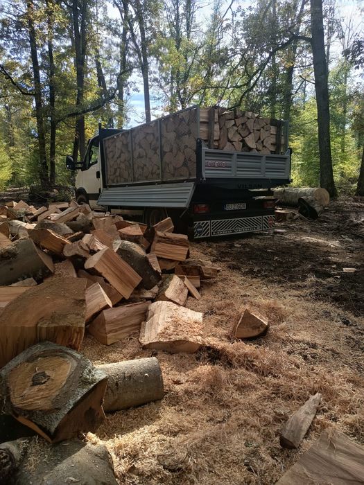 Lemn de foc diferite esențe