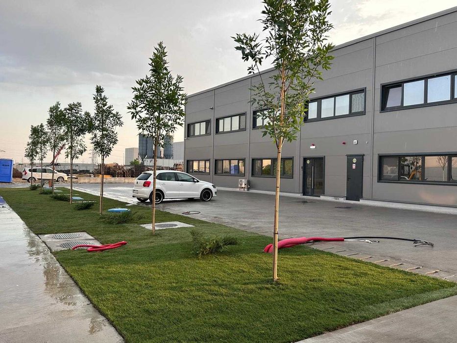 Amenajari gradini cu sistem de stropire automat, gazon, arbori, flori