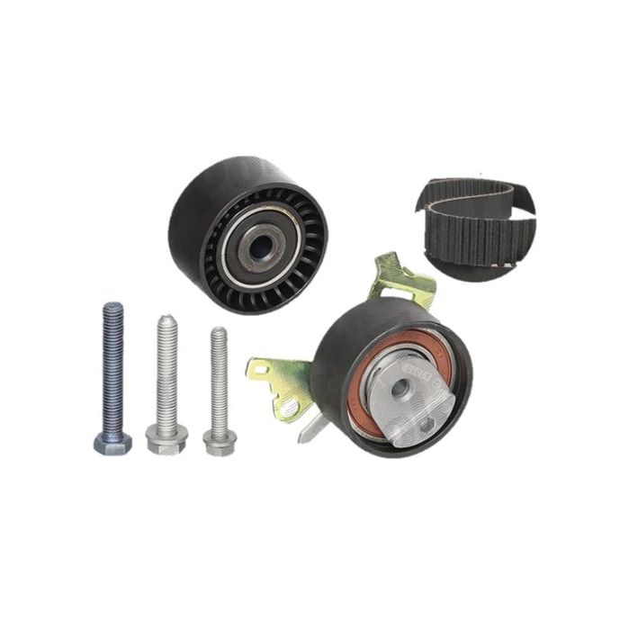 Kit distributie Ina 530023810