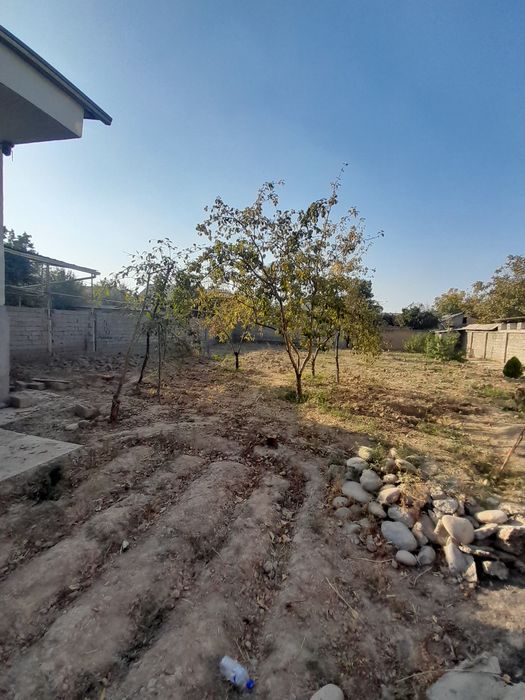 Рохатдан 10км 6 сотх, 7.000дан сотиги