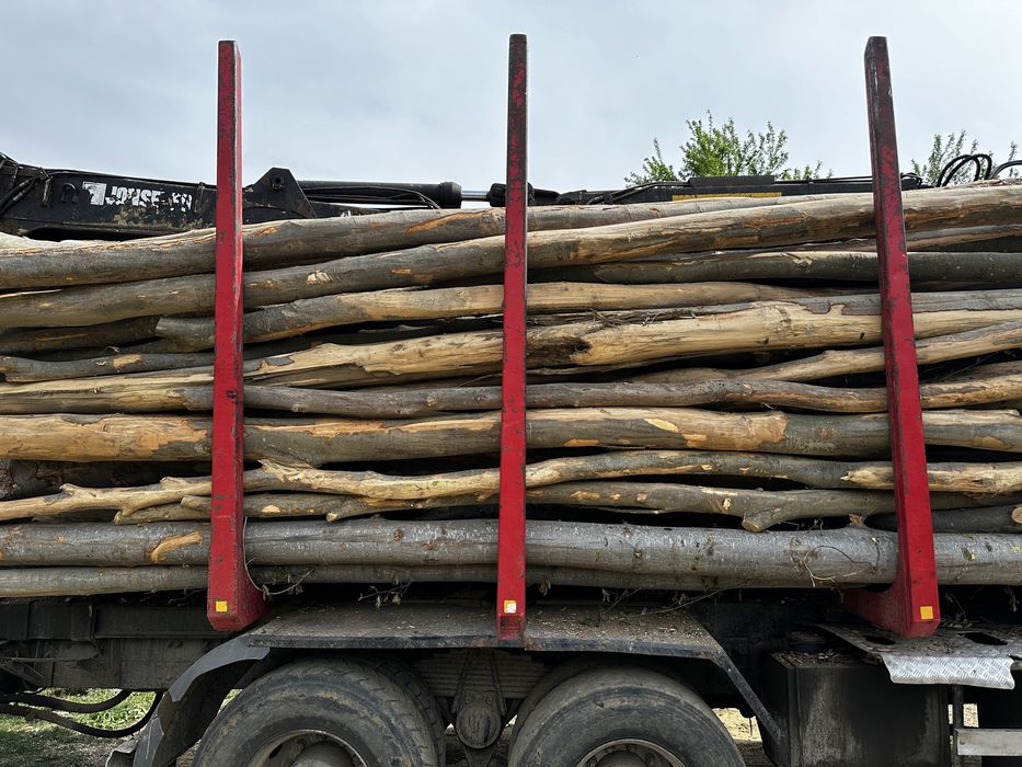 Lemn de foc FAG carpen STEJAR