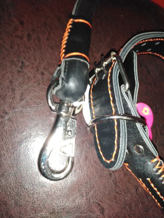 Lesa caini și zgarda set