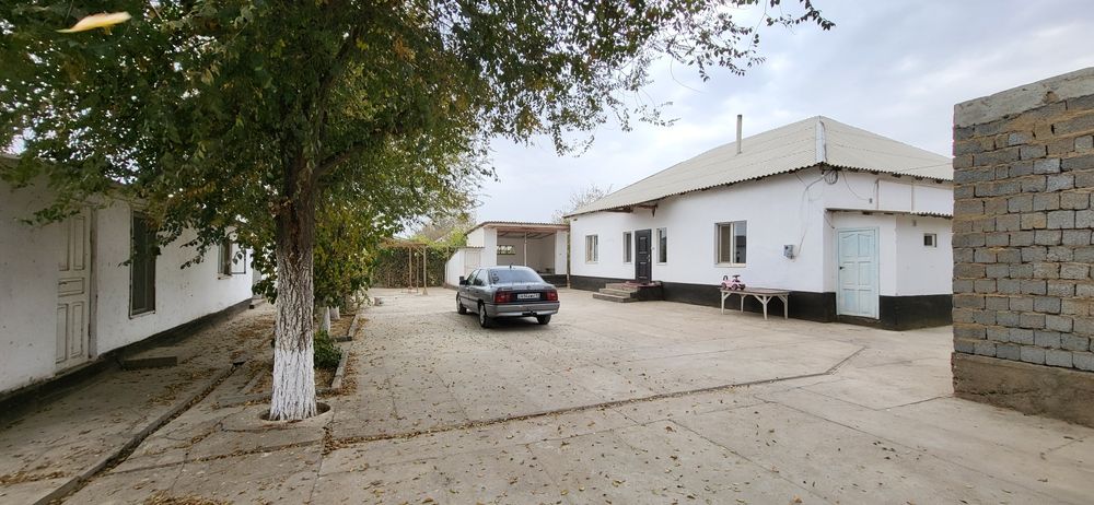 Багасы келисимди. Дайын уй