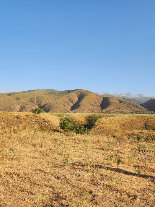 ДОЛАН  Рассрочка