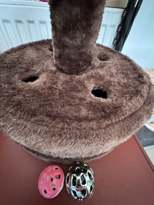 Vand accesorii pisica  NOI dispusa la oferte