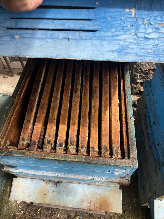 Кошери 10рамкови-дадан блат