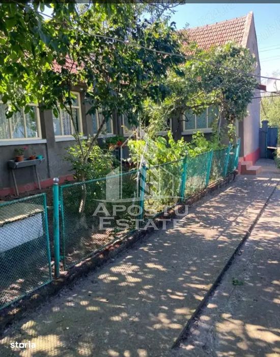 DE VANZARE casa solida LA 30 km de Timisoara