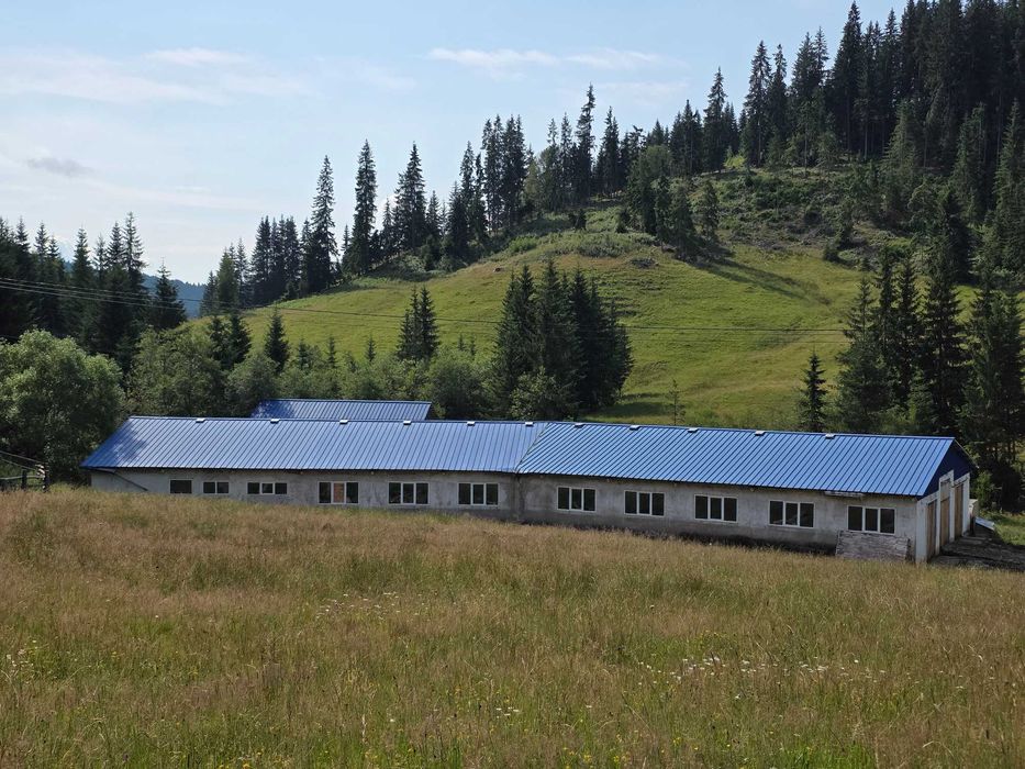 Urgent!! Oportunitate unuca Ferma de vaci