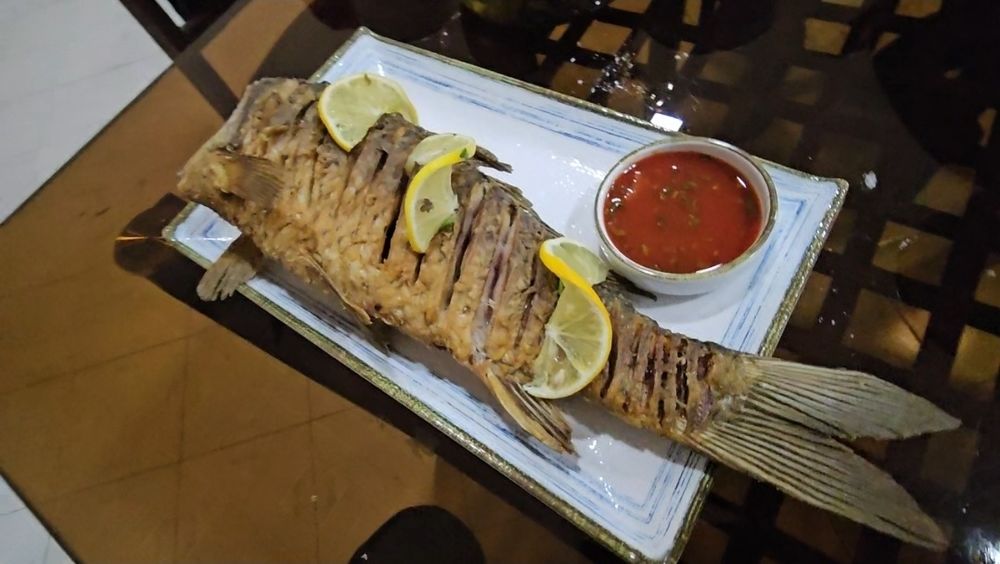 Qorako'l shirin balig'i BUXORODA