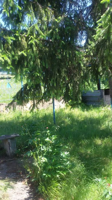 Продавам вила в село Пънчево