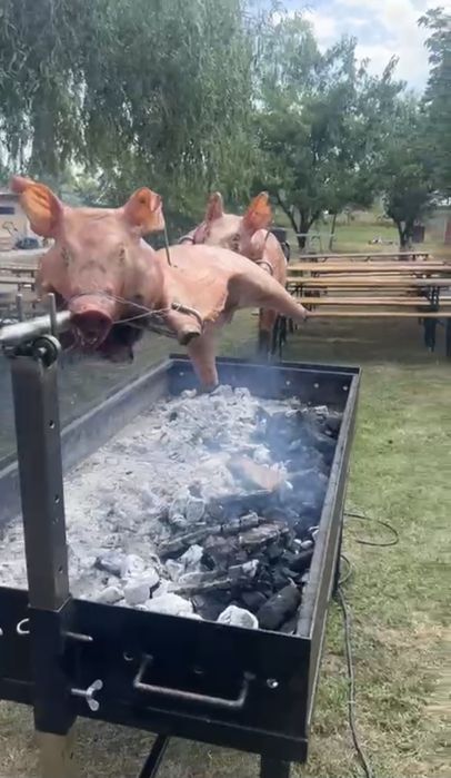 Gratar, protap, barbeque, rotisor, grill